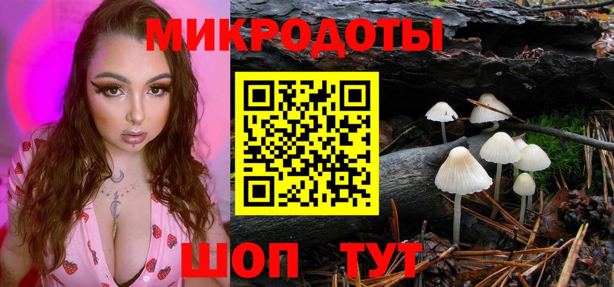 Пугачёв  где продают   Вход с VPN  Галлюциногенные грибы Psilocybine cubensis  Псилоцибиновые грибы Psilocybe 