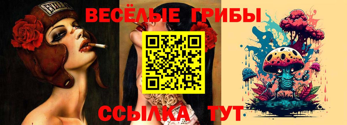 Галлюциногенные грибы мицелий Пугачёв